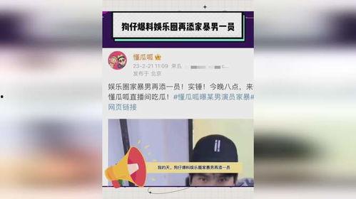 狗仔晚上爆料娱乐圈家暴,真相与反思 第2张 狗仔晚上爆料娱乐圈家暴,真相与反思 第2张