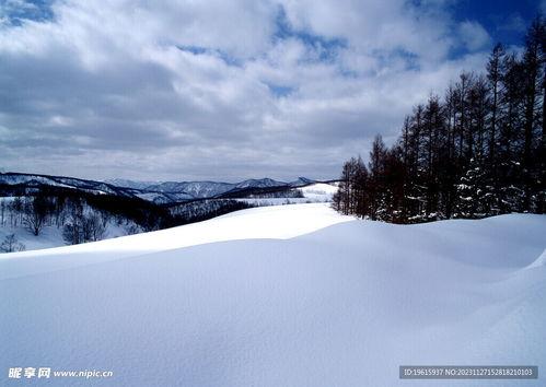 最新爆料六图雪地图片下载,冬日雪地美景，带你领略纯净自然之美”